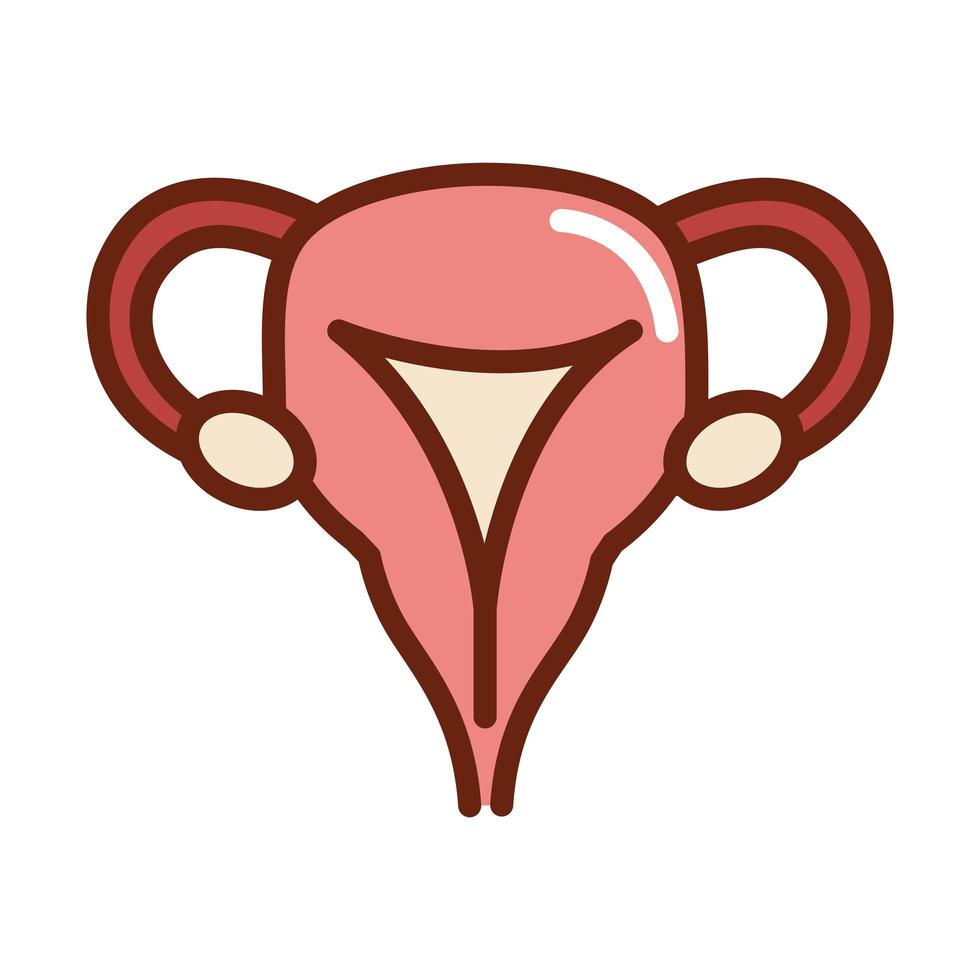 cuerpo humano sistema reproductivo femenino anatomía órgano salud línea e icono de relleno vector