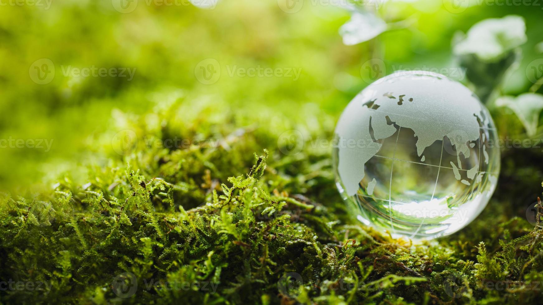concepto de naturaleza de globo de cristal foto