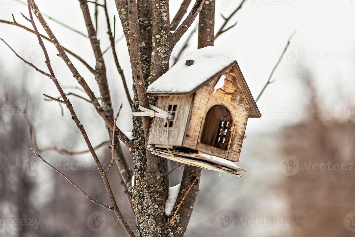 Beautiful wooden birdhouse for birds on a tree. Winter time photo