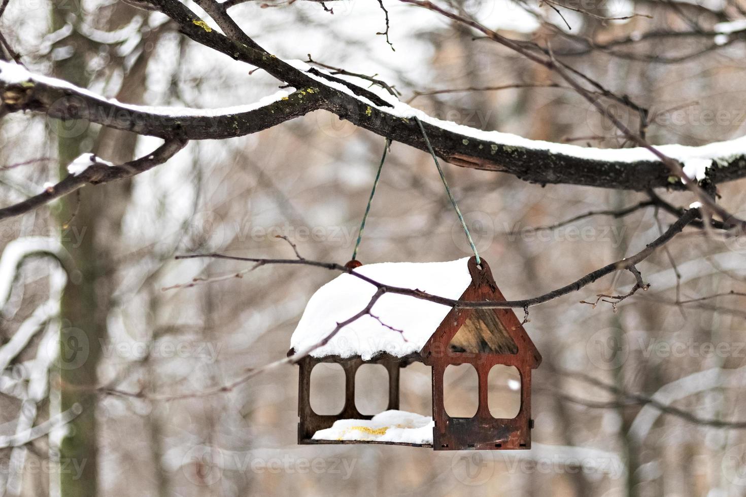 Wooden birdhouse for feeding birds under the snow on a tree branch. Winter time photo