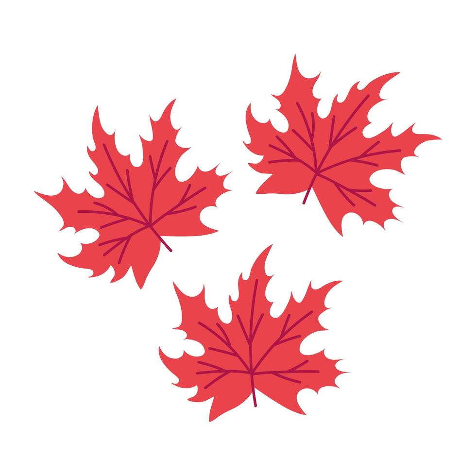 autumn season leaves vector