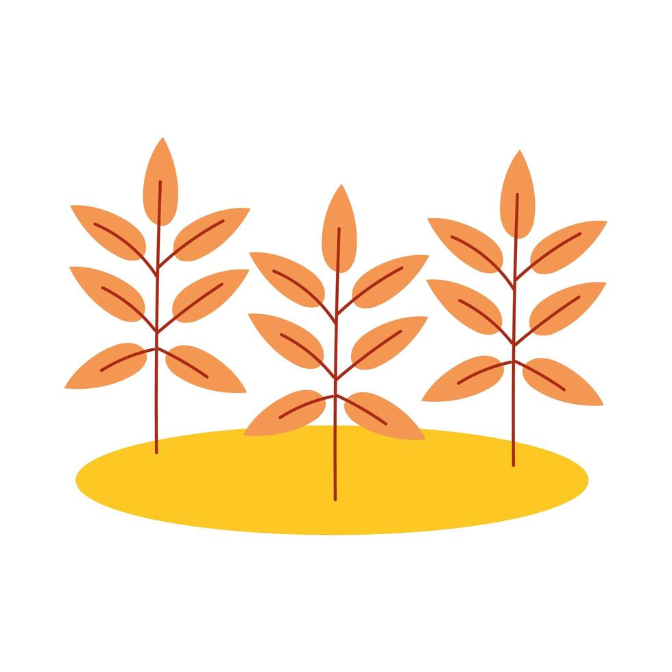 autumn trees branches and leaves vector