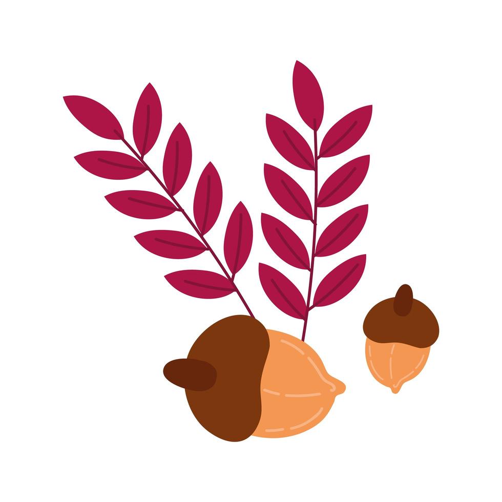 autumn season leaves vector