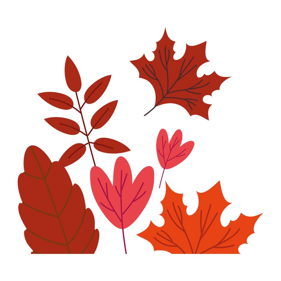 autumn season leaves vector