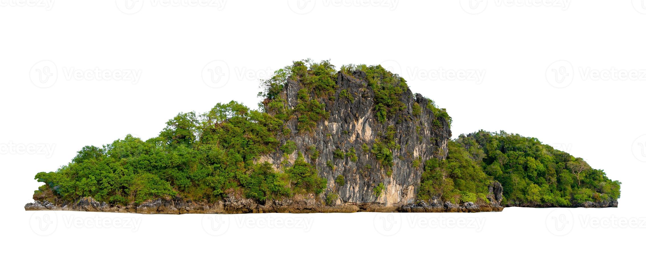 aislar la isla en medio del mar verde fondo blanco separado del fondo foto