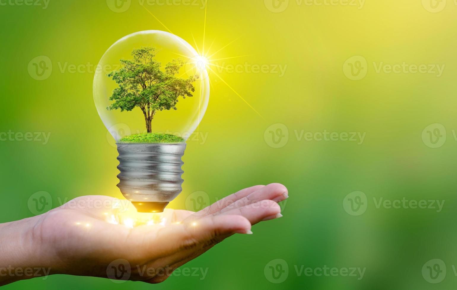 The forest and the trees are in the light. Concepts of environmental conservation and global warming plant growing inside lamp bulb over dry soil in saving earth concept photo