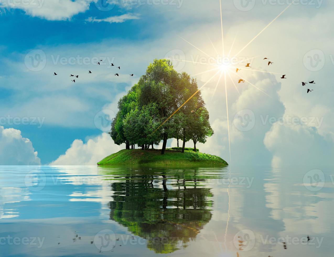 isla mar árbol vacaciones de verano relajarse árbol en medio del mar foto