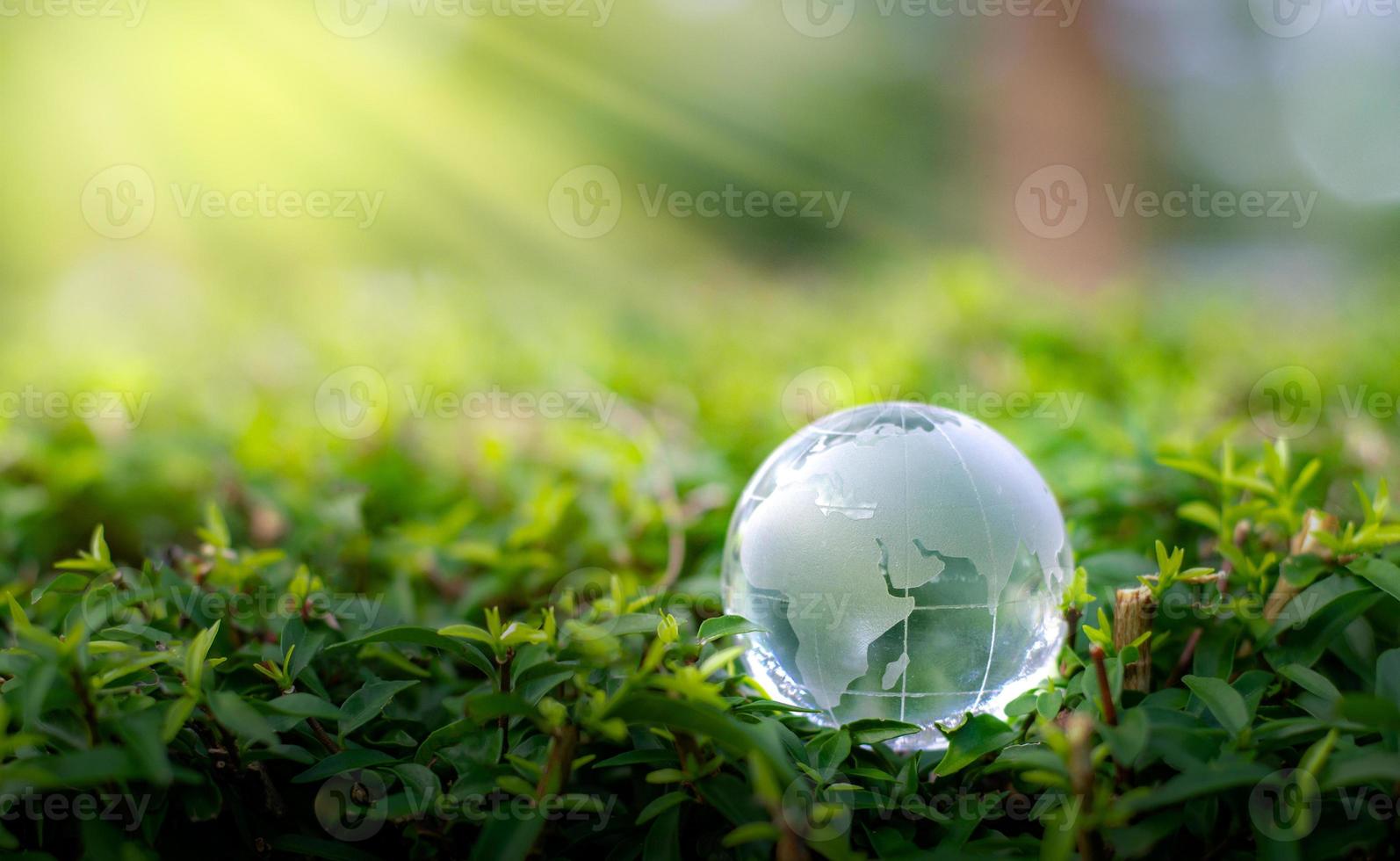 concepto salvar el mundo salvar el medio ambiente el mundo está en la hierba del fondo verde bokeh foto
