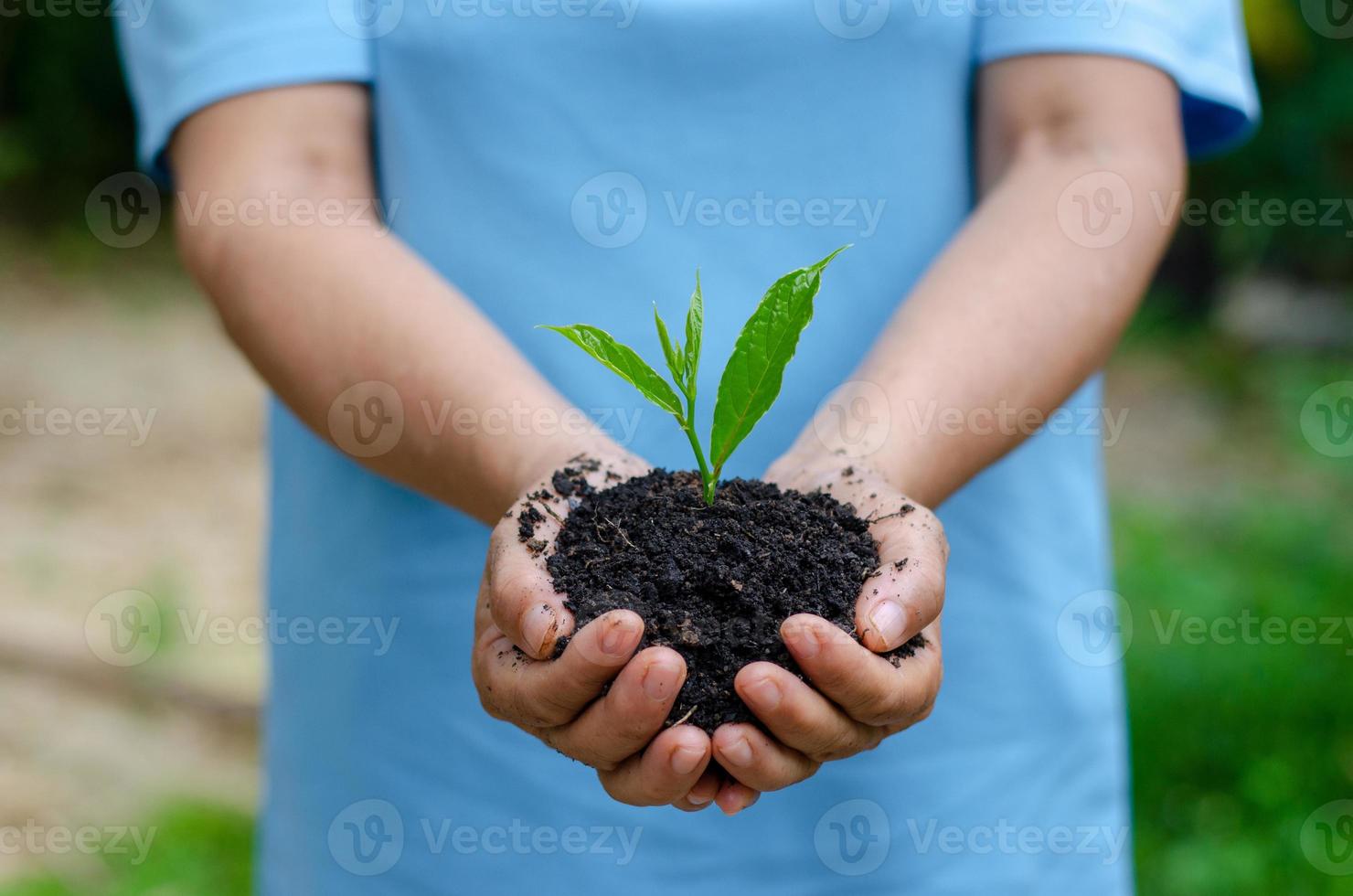 environment Earth Day In the hands of trees growing seedlings. Bokeh green Background Female hand holding tree on nature field grass Forest conservation concept photo