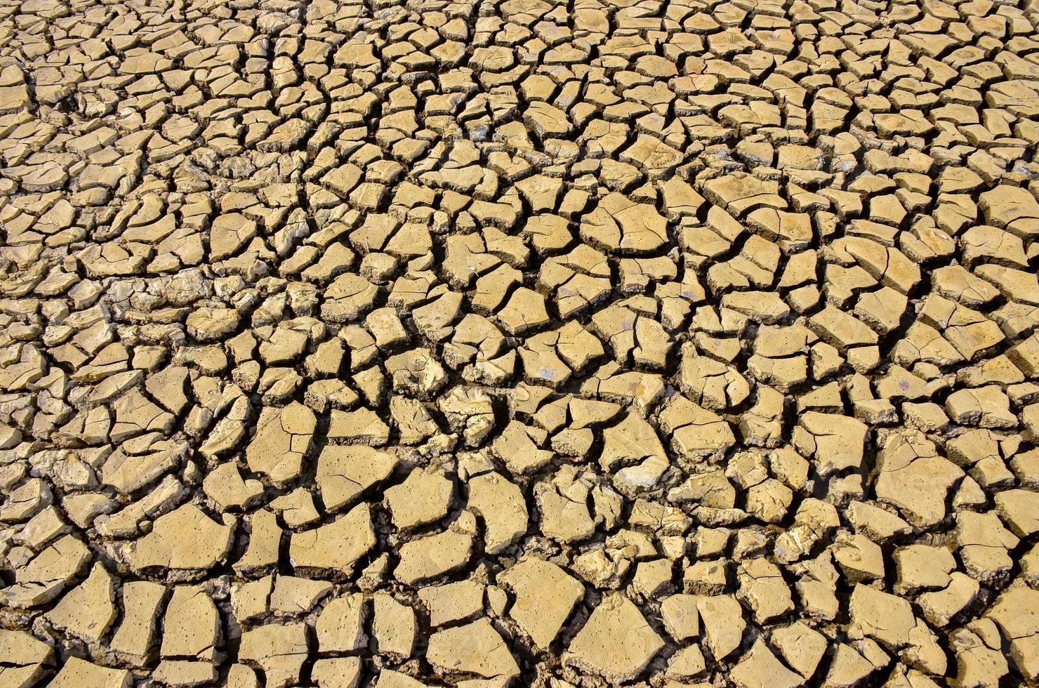 soil drought cracks texture background for design. photo