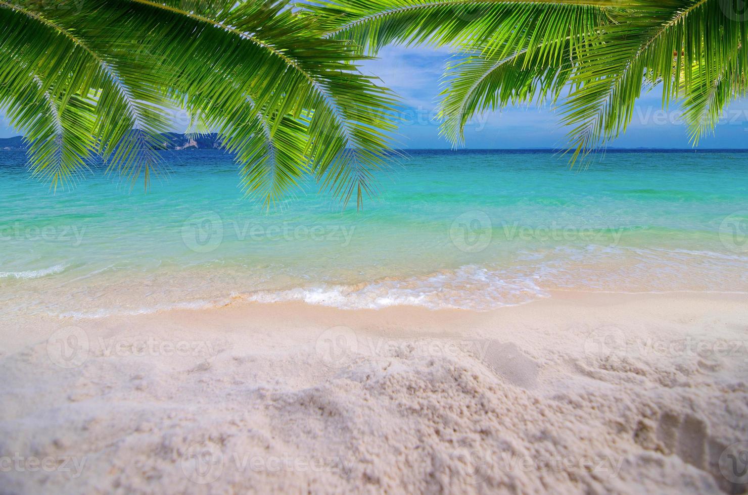 Summer vacation white sand beach with space for text coconut leaves rear frame sea view energetic floor photo