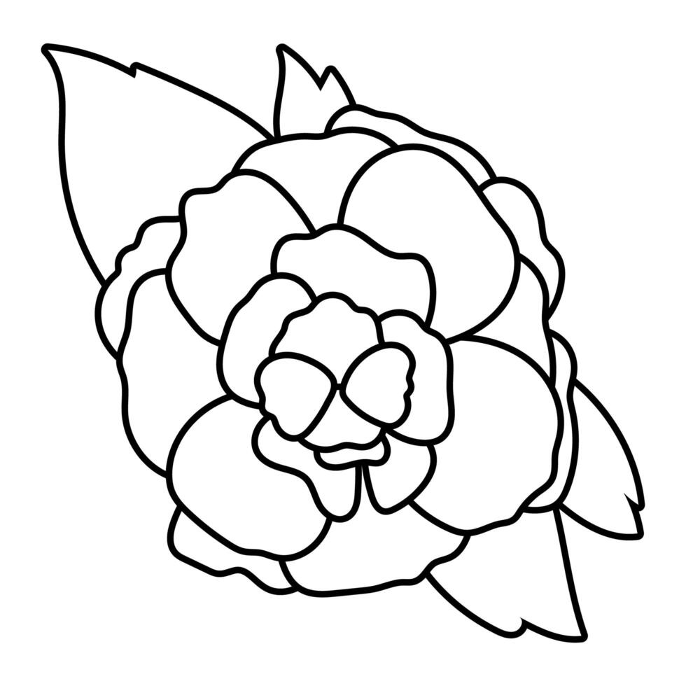 beautiful rose icon vector