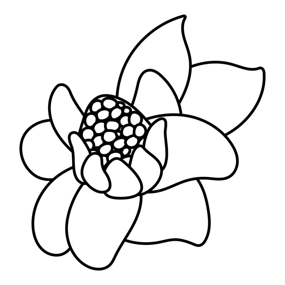 beautiful flower icon vector