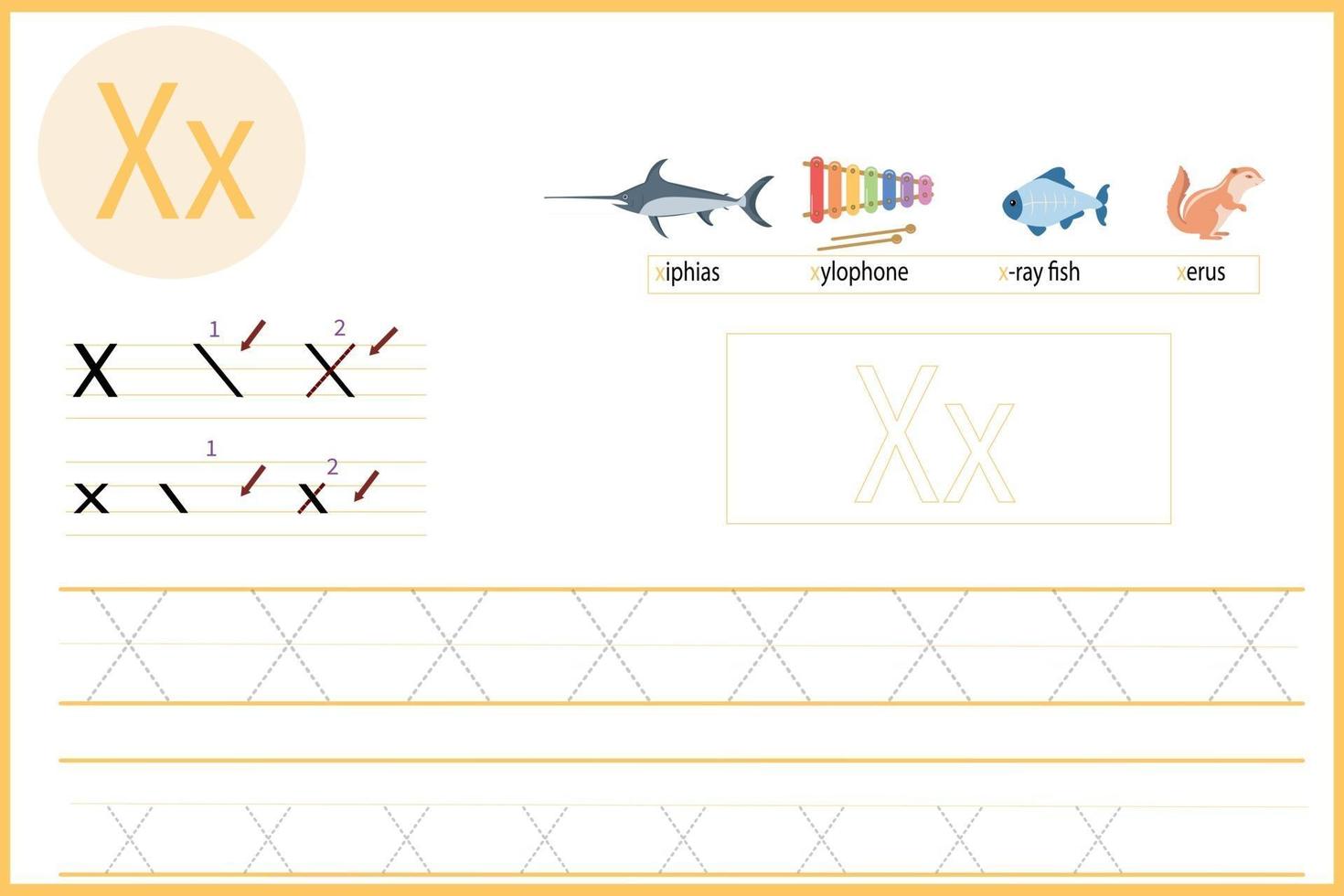 learn the letter X vector