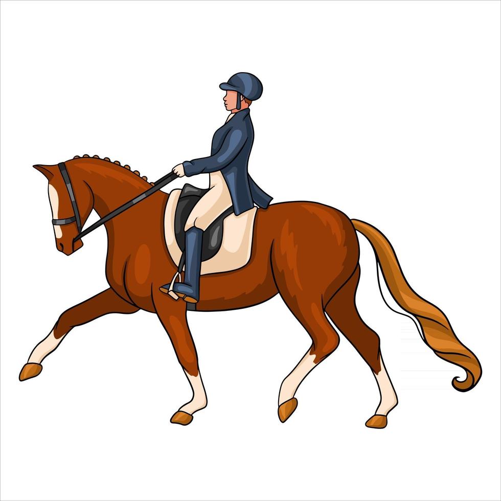 mujer de equitación montando caballo de doma en estilo de dibujos animados vector