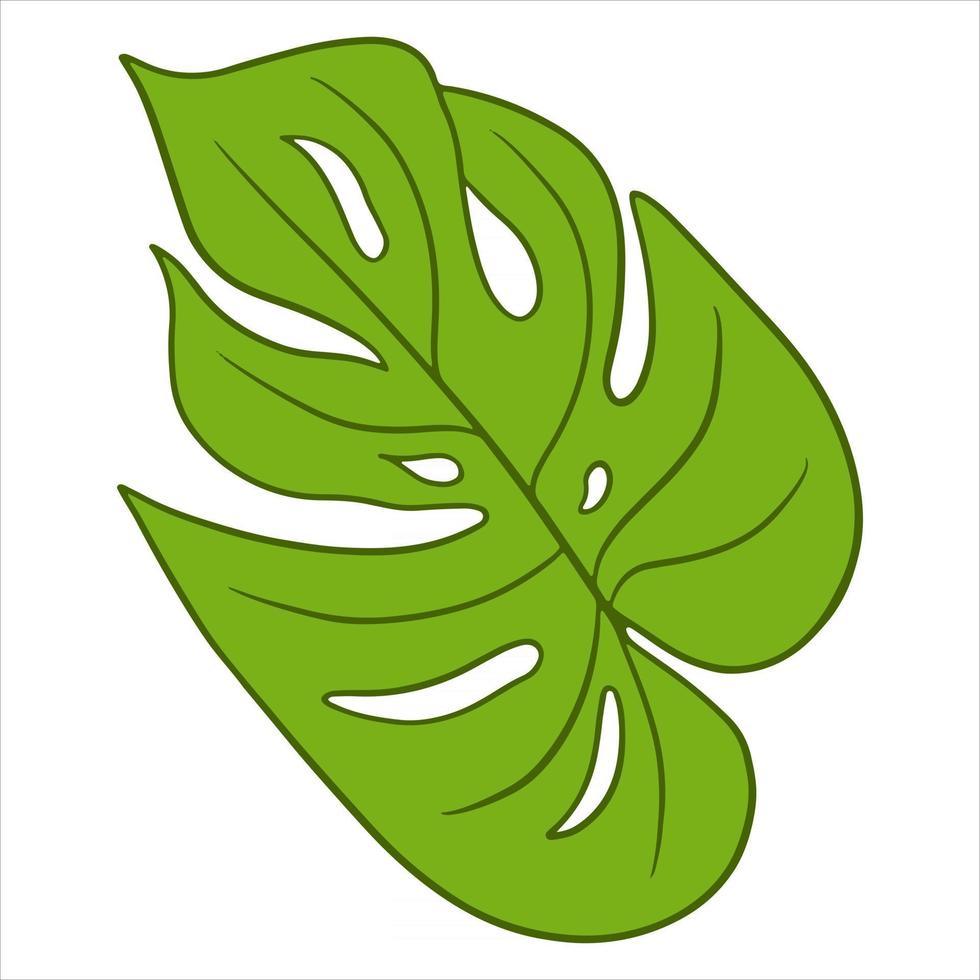 Tropical plants exotic carved green leaf in cartoon style vector