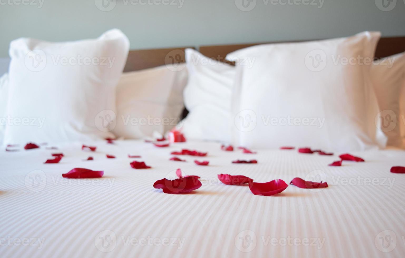 Saint valentine's day, white large bed with the rose petals, red rose petals on the big bed photo