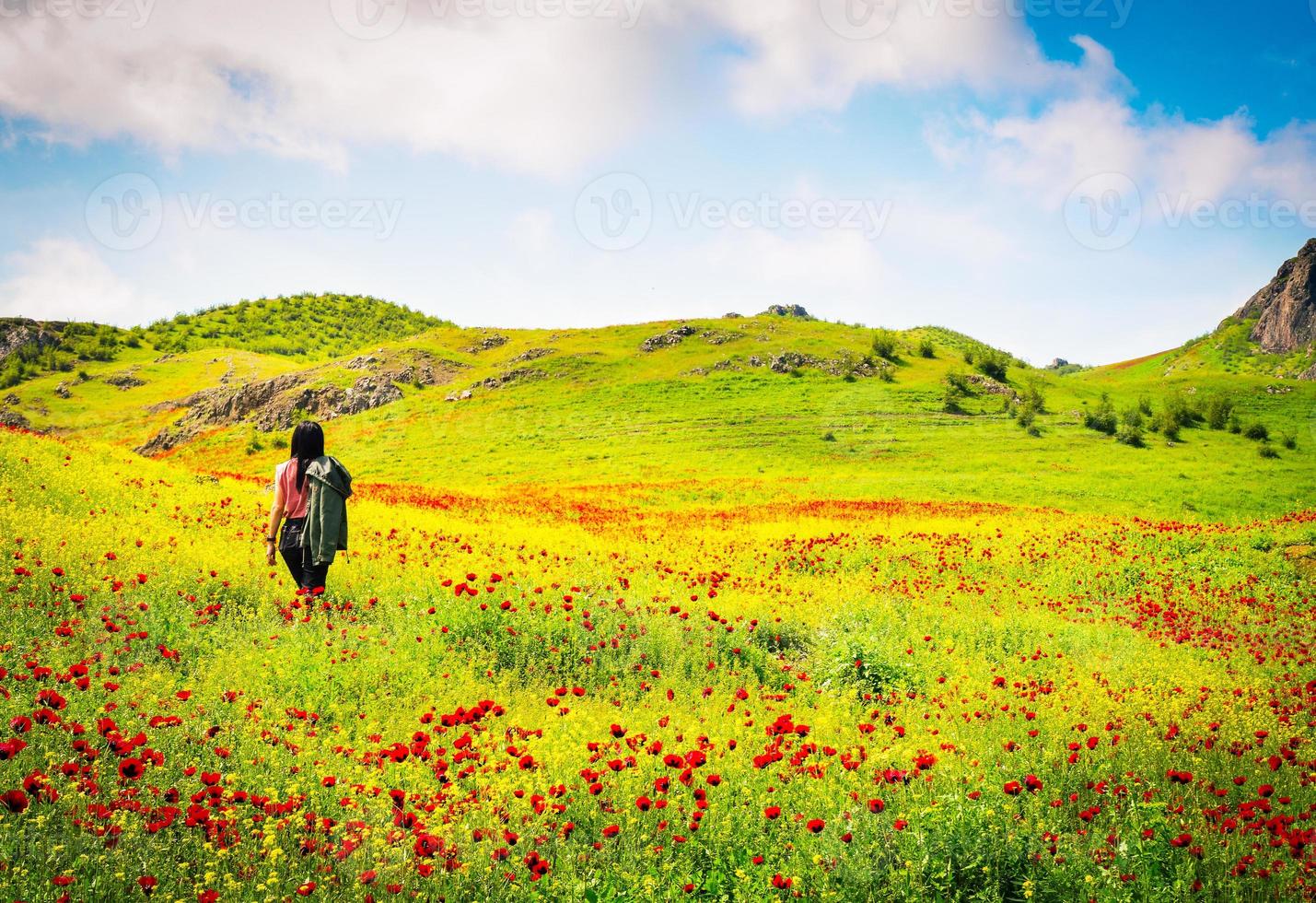 Panoramic view beautiful brunette woman enjoy spring wild nature landscape alone surrounded poppy flowers photo