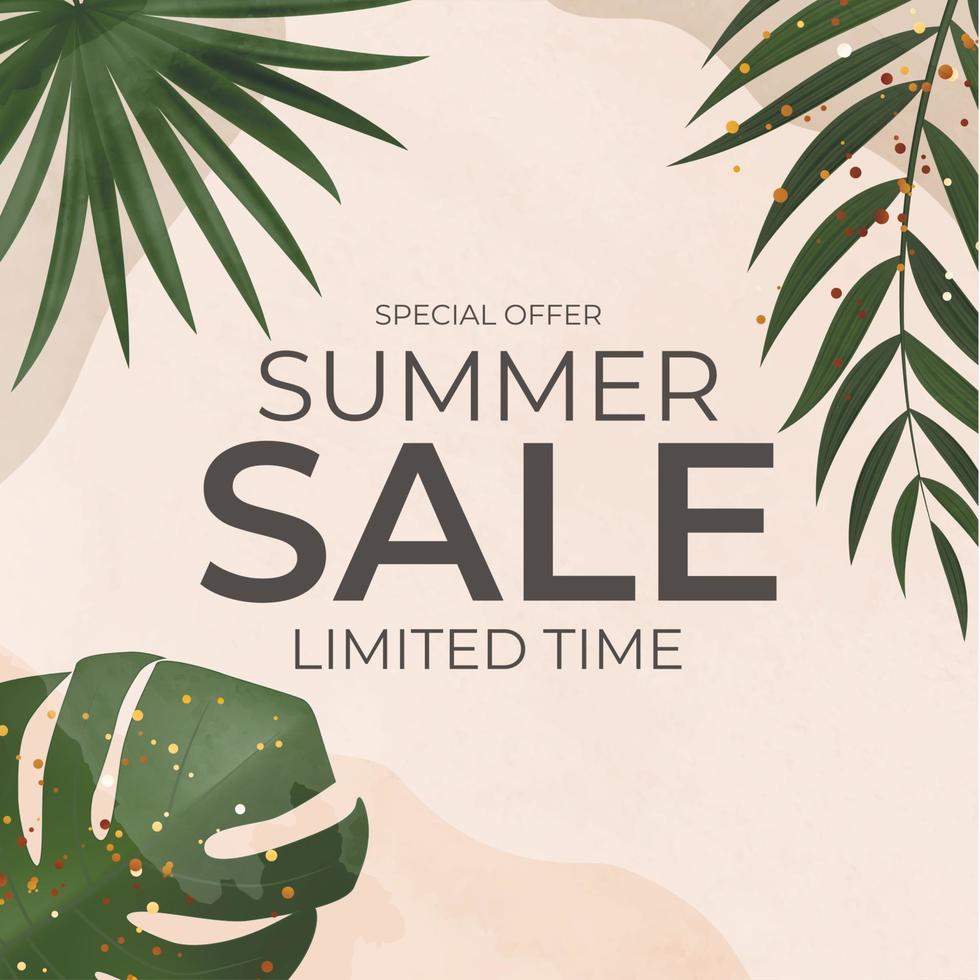 Summer Sale Natural Background with Tropical Palm and Monstera Leaves vector