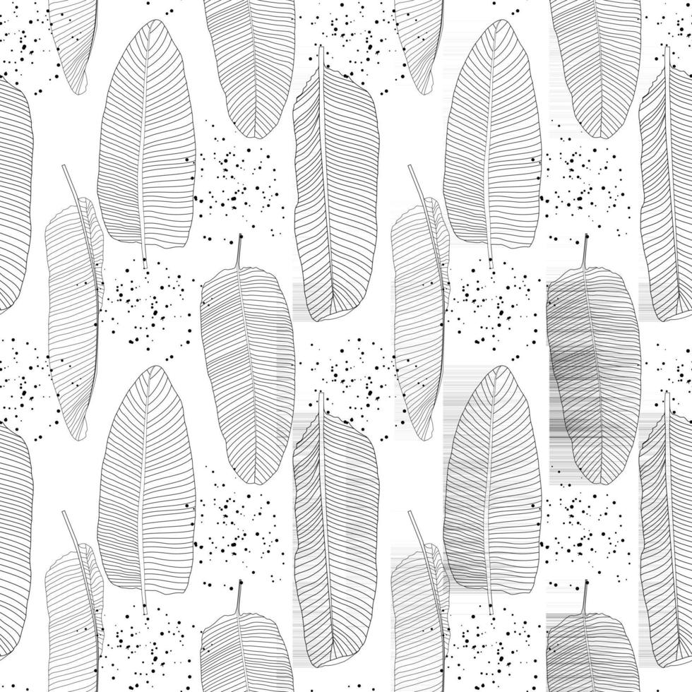 hojas de palma de plátano natural de fondo transparente vector