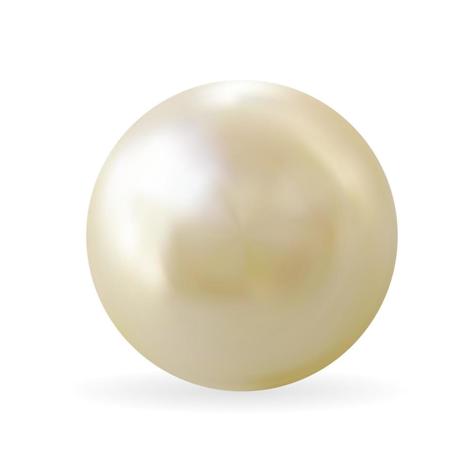 Realistic 3D Pearl isolated on white background. Vector Illustration EPS10