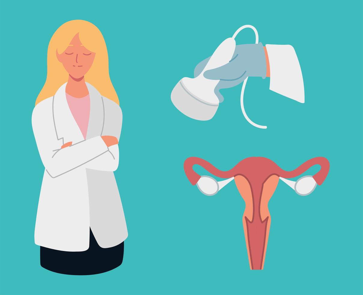 gynecologist doctor uterus vector