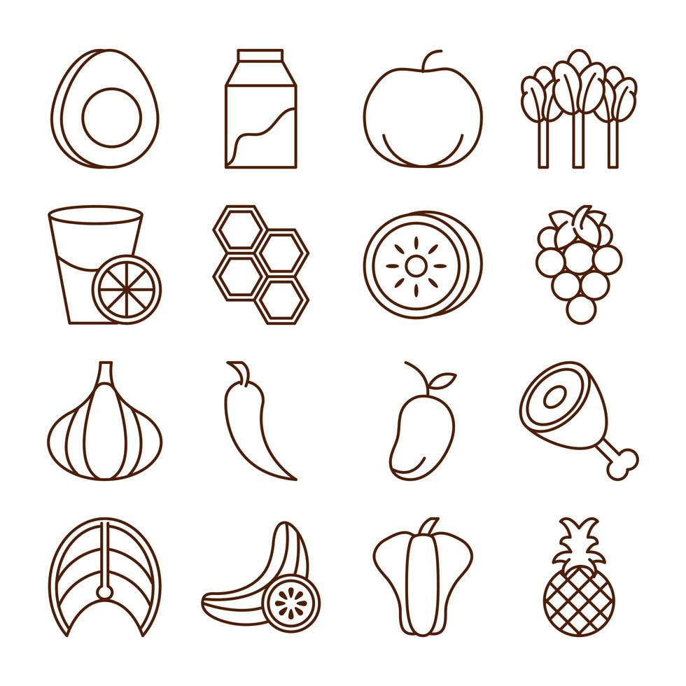 healthy food fresh fruits vegetables and protein ingredient products icons set line style icon vector