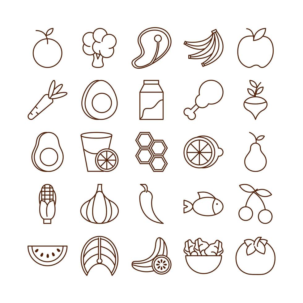 healthy food fresh fruits vegetables and protein ingredient products icons set line style icon vector