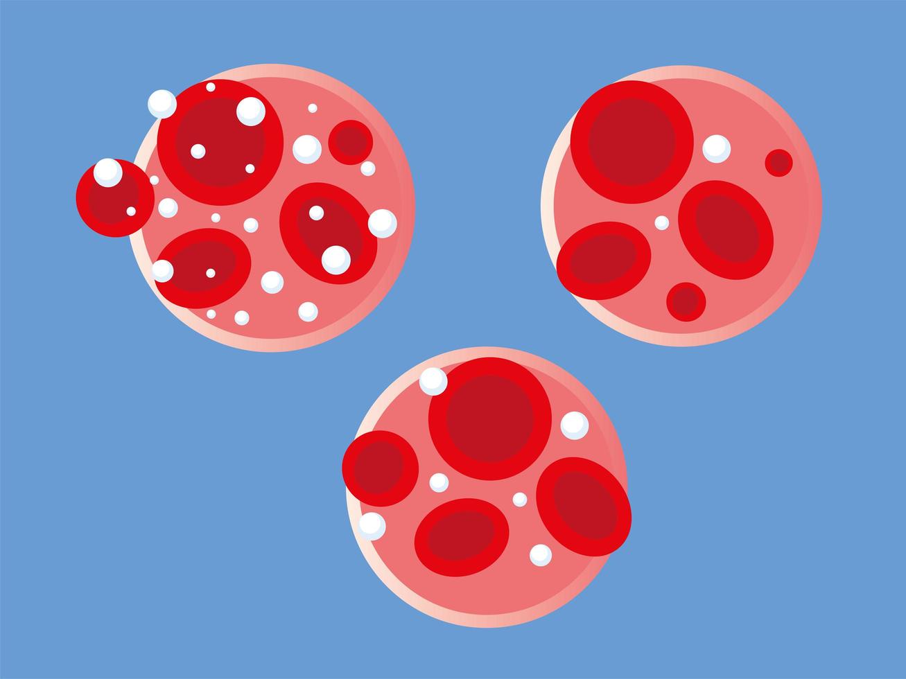 glucose blood level vector