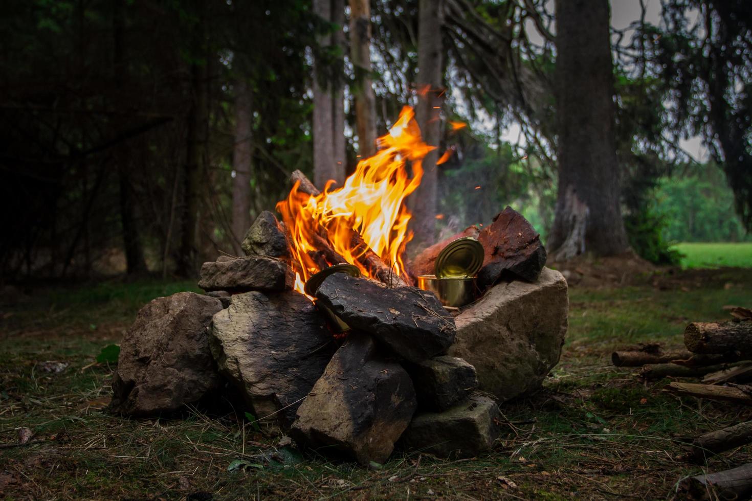 Preparing food on fire photo