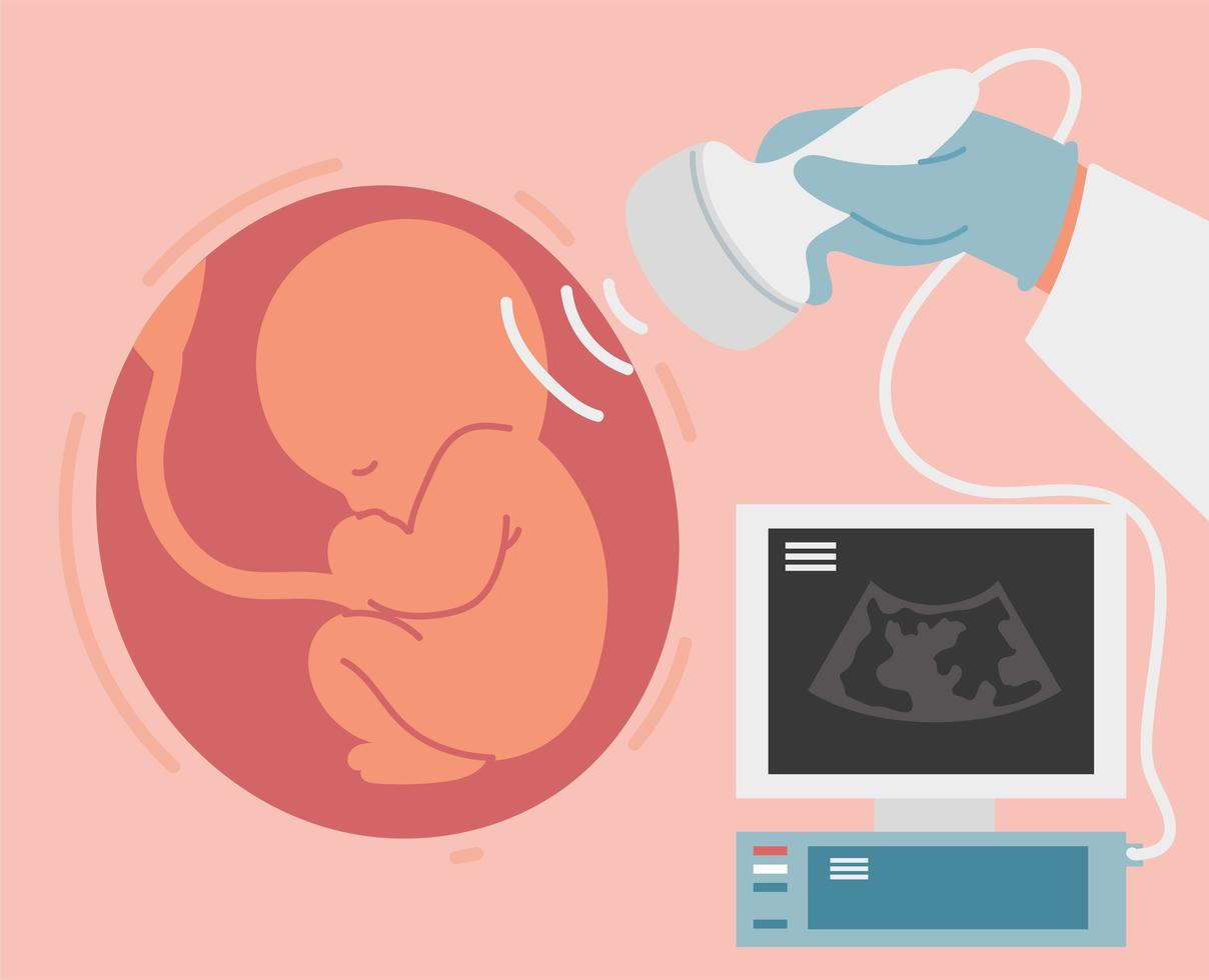 ultrasound scan of baby vector