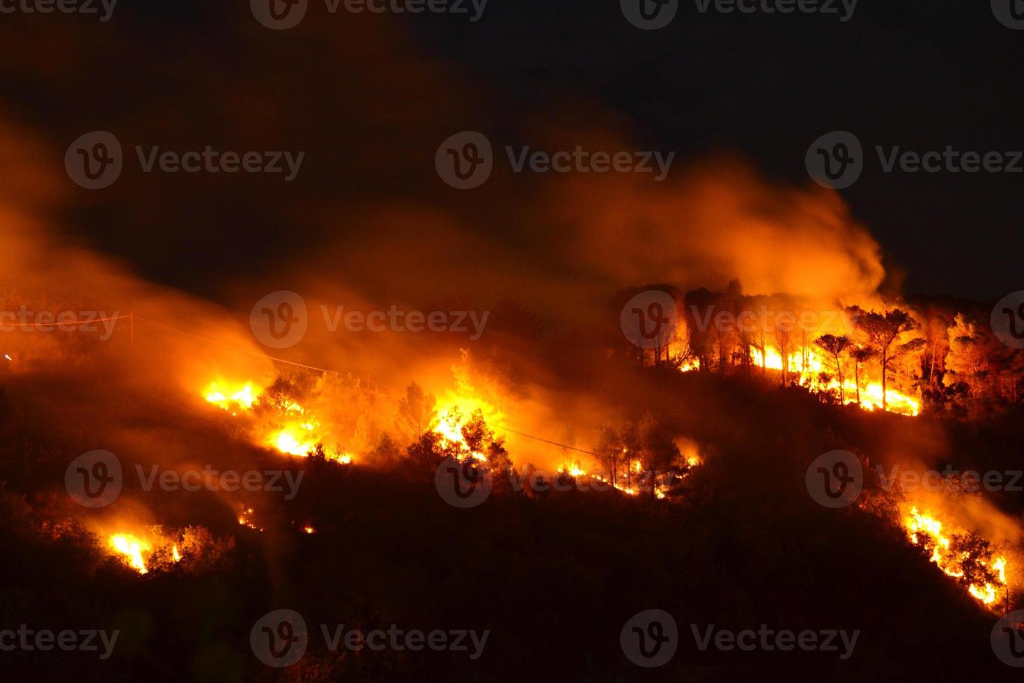 Environmental disaster, Forest fire photo