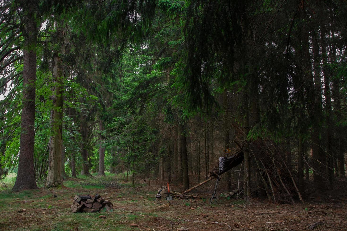 Shelter in forest photo