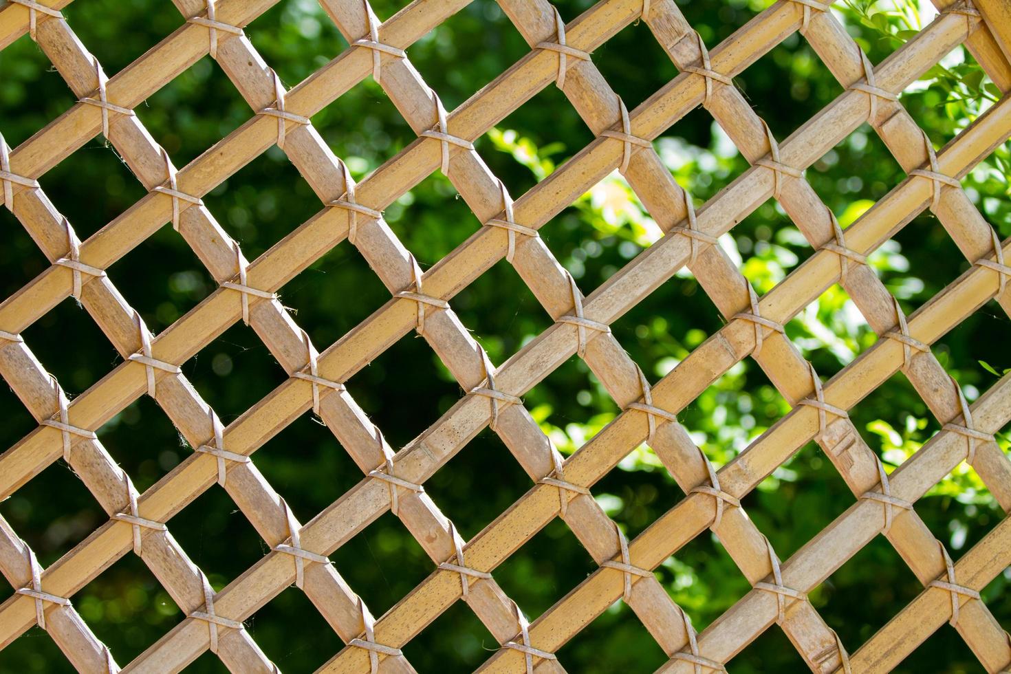 Texture of fence photo