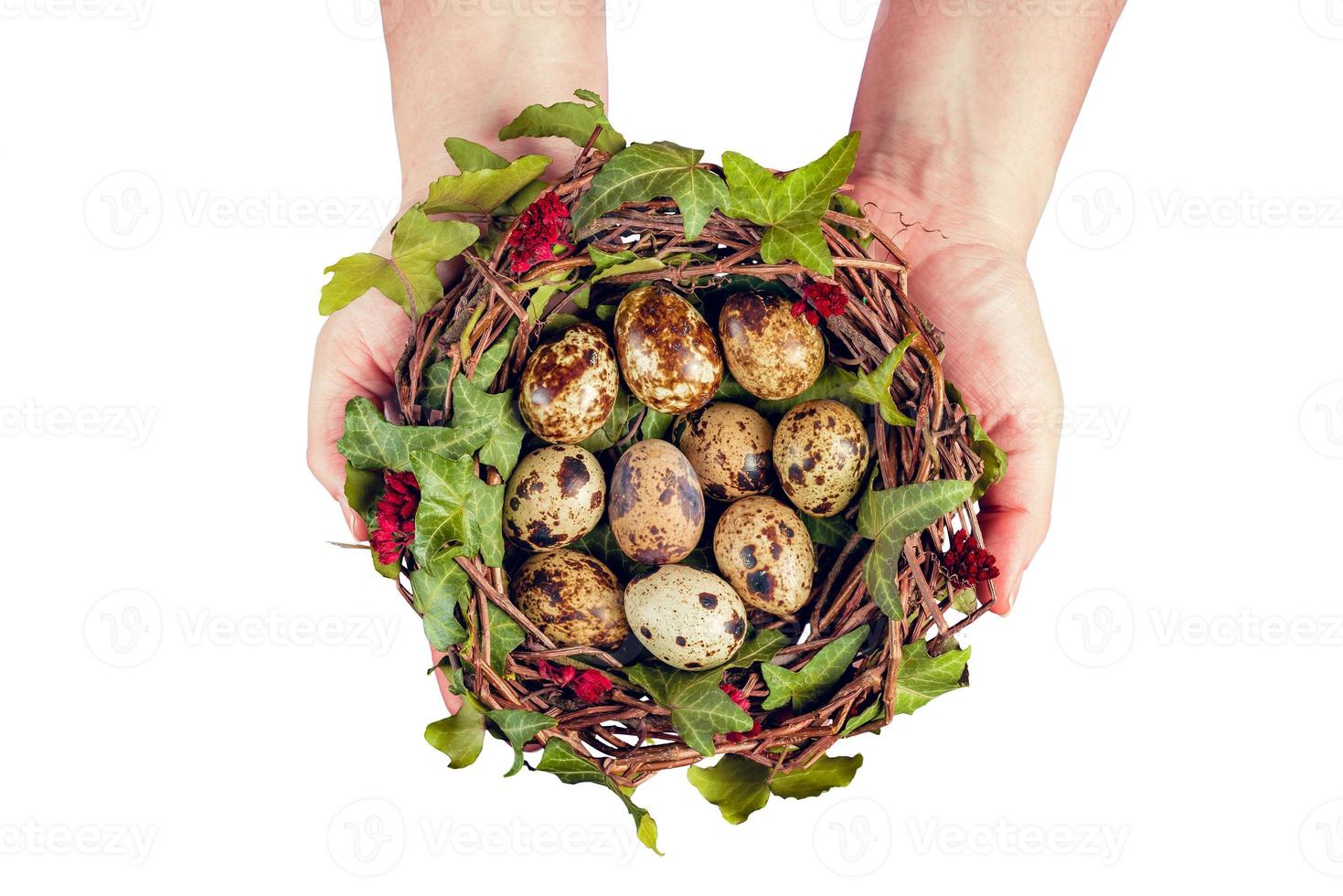 huevos de pascua con decoración huevos de codorniz en un nido de pájaro sostenido por manos de mujer. foto