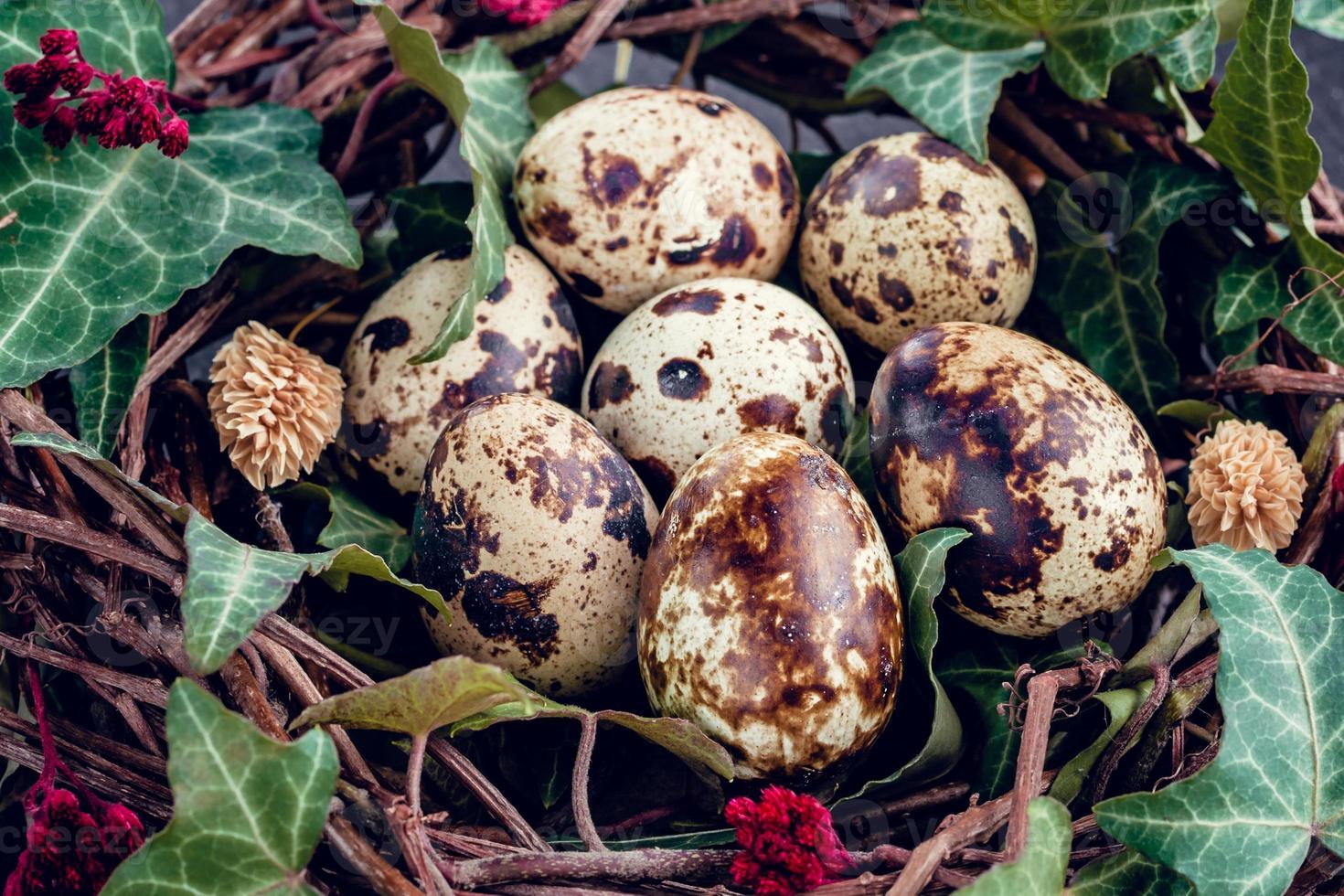 Easter eggs with decoration.Quail eggs in a bird nest. photo