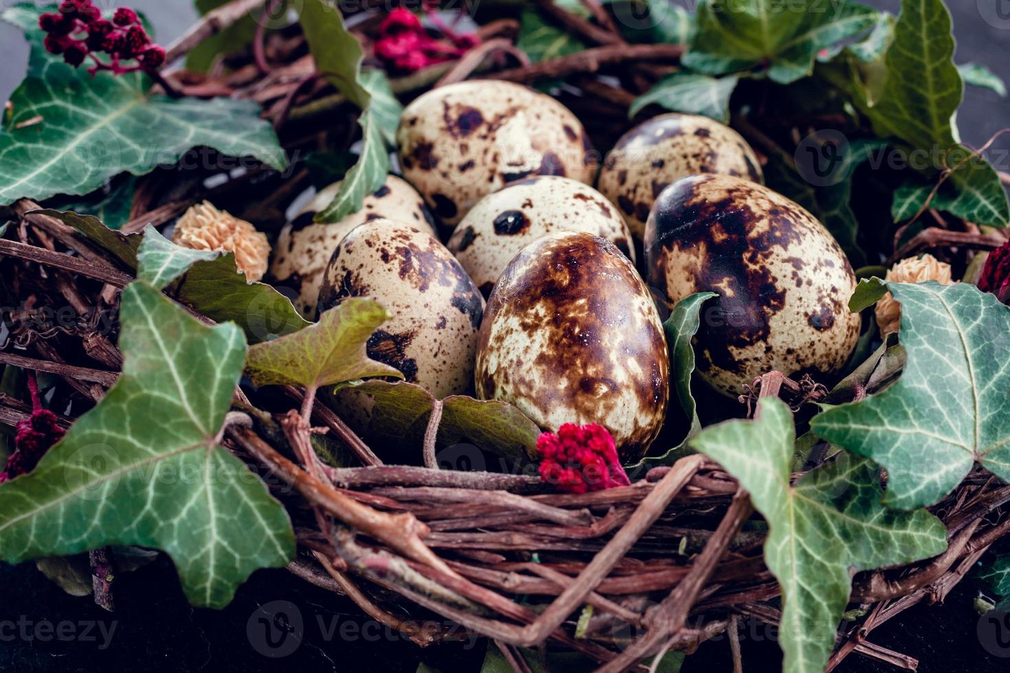 Easter eggs with decoration.Quail eggs in a bird nest. photo