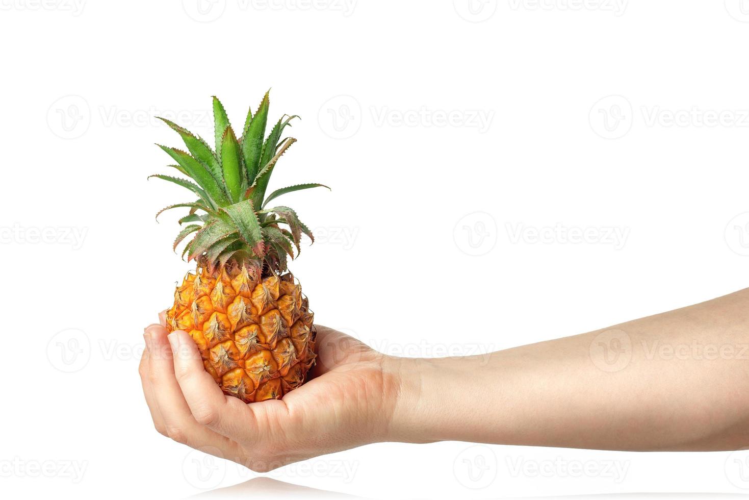 Baby pineapple in the human male hand, isolated on white background. photo