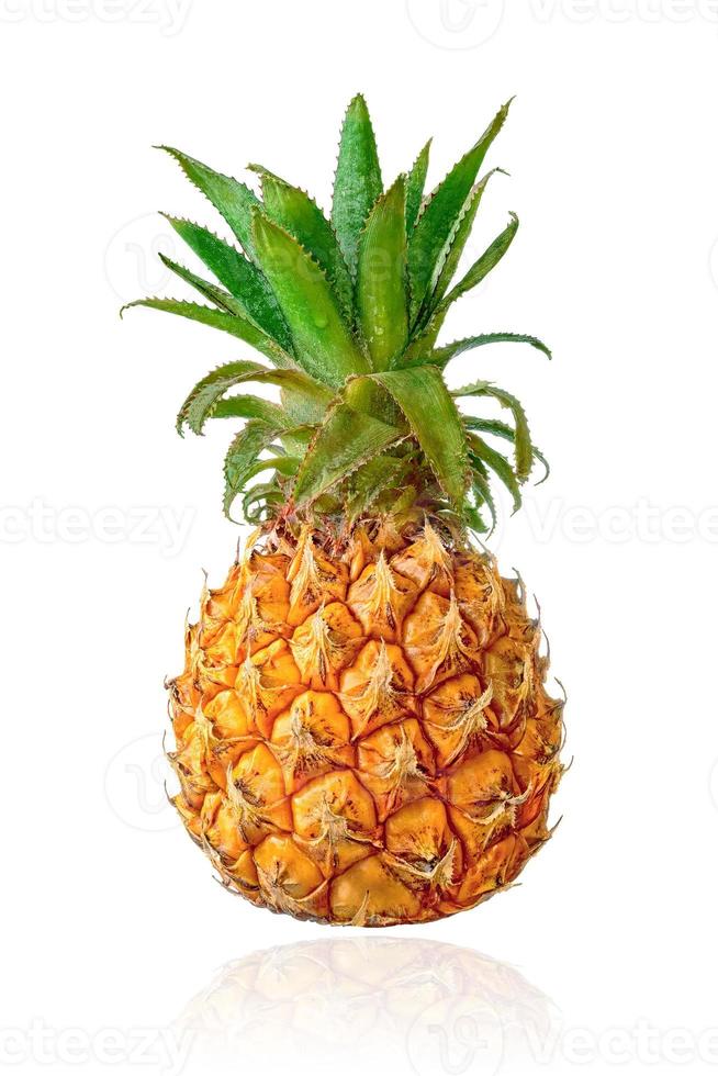 Baby pineapple isolated on white background with drop shadow. photo