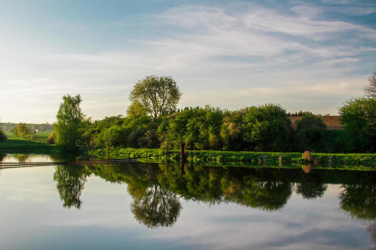 Reflection in the pond photo