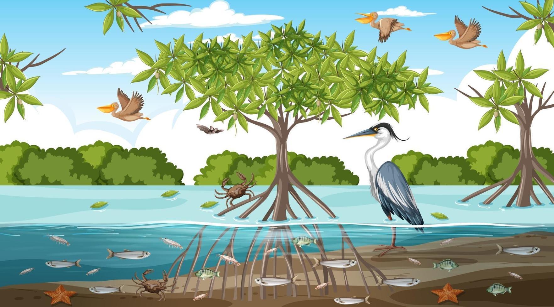 Mangrove forest landscape scene at daytime vector