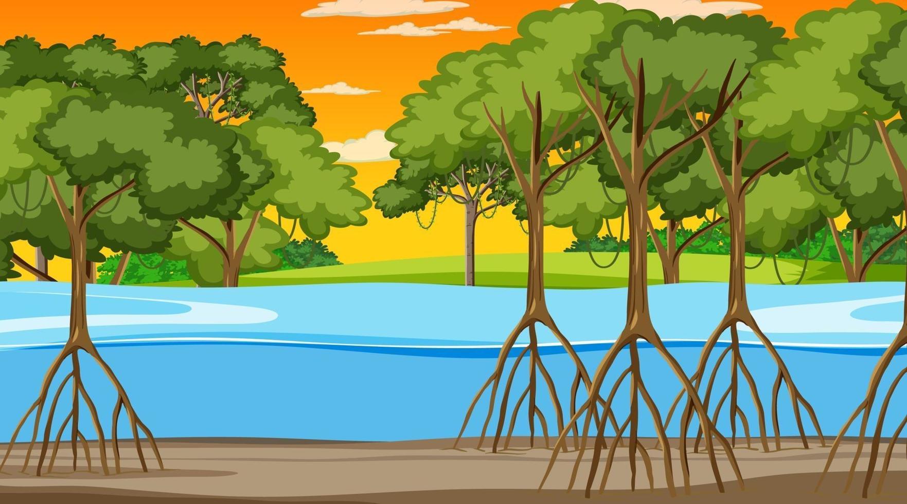 Escena de la naturaleza con bosque de manglares al atardecer en estilo de dibujos animados vector