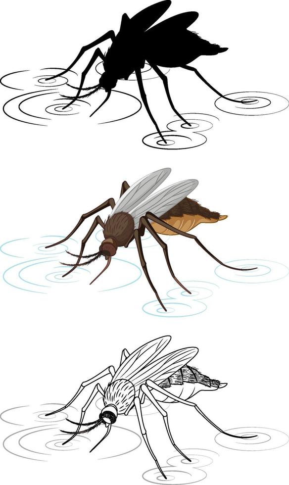 Set of mosquito in silhouette and colour and doodle vector