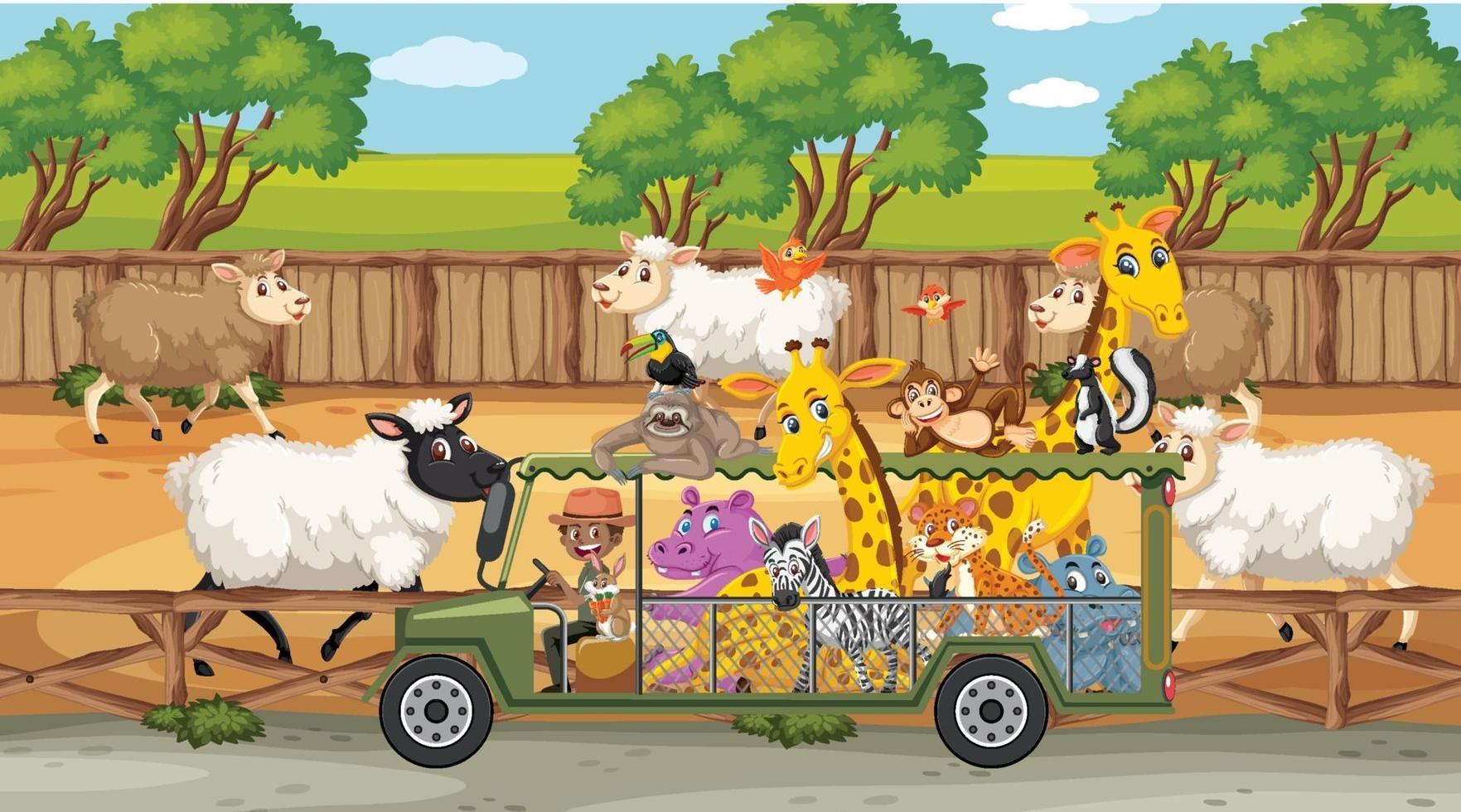 Safari scenes with many sheeps and kids cartoon character vector