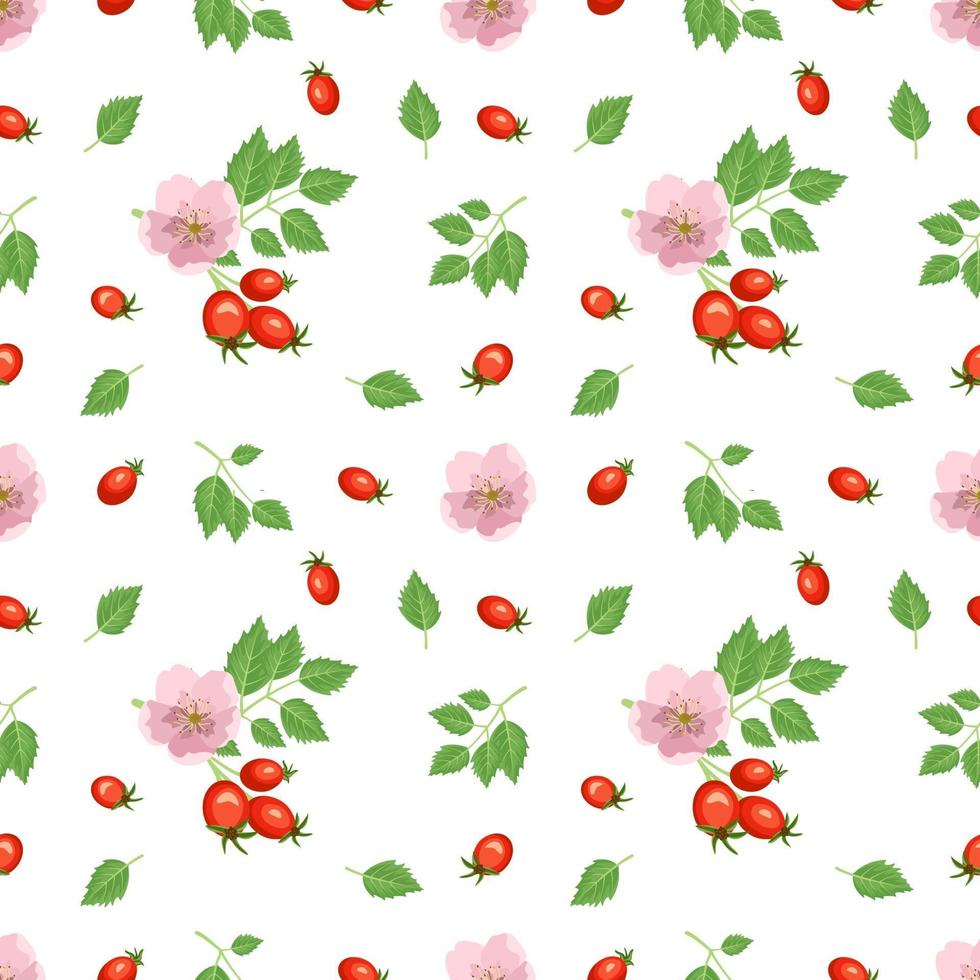 patrón transparente brillante con escaramujos, frutos rojos, hojas y flores. lindo estampado de verano para papel de regalo, textil y diseño vector