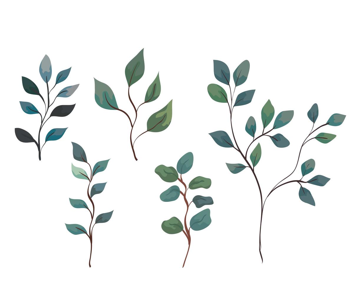 set of branches with leaves, nature decoration vector