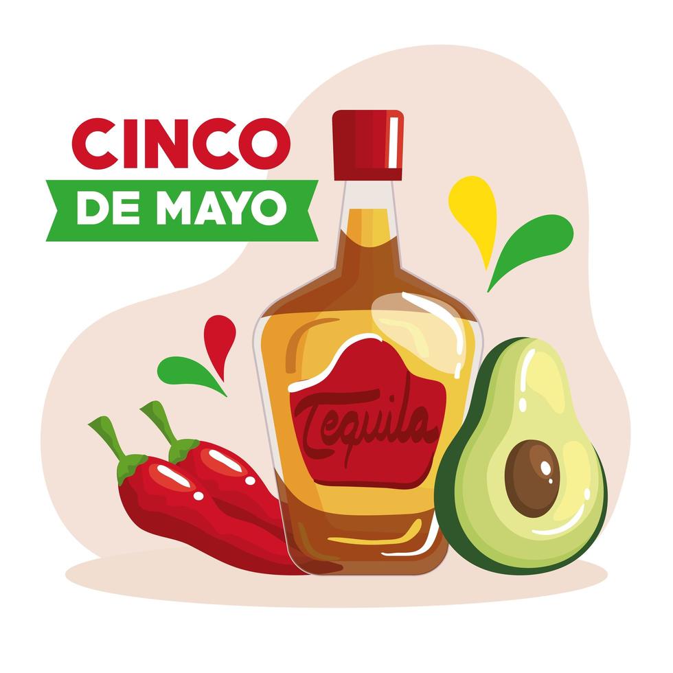 cinco de mayo poster with bottle tequila and decoration vector