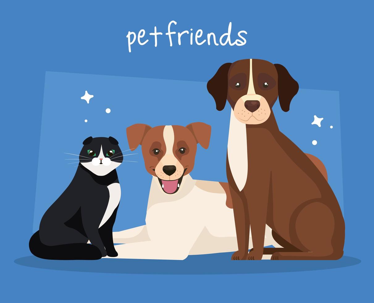 group of dogs with cat icons vector