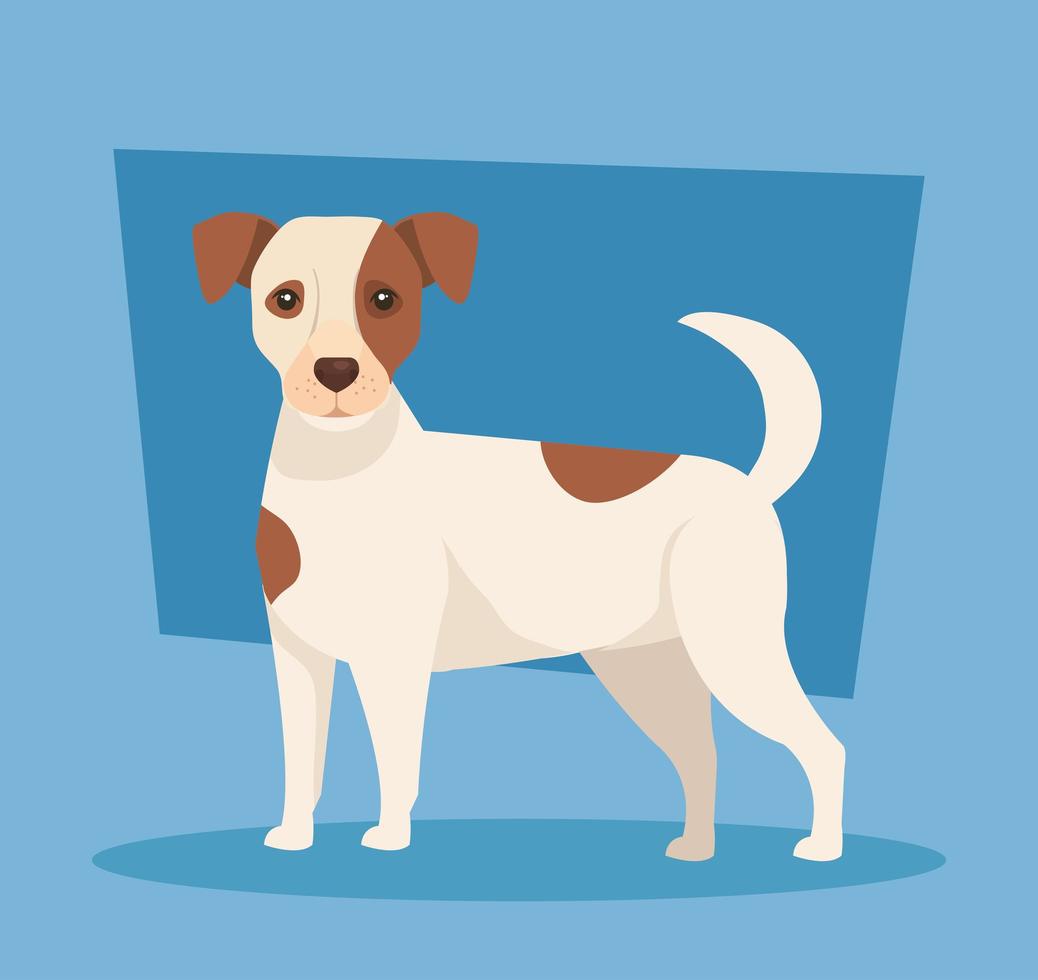 lindo, perro manchado, animal, icono vector