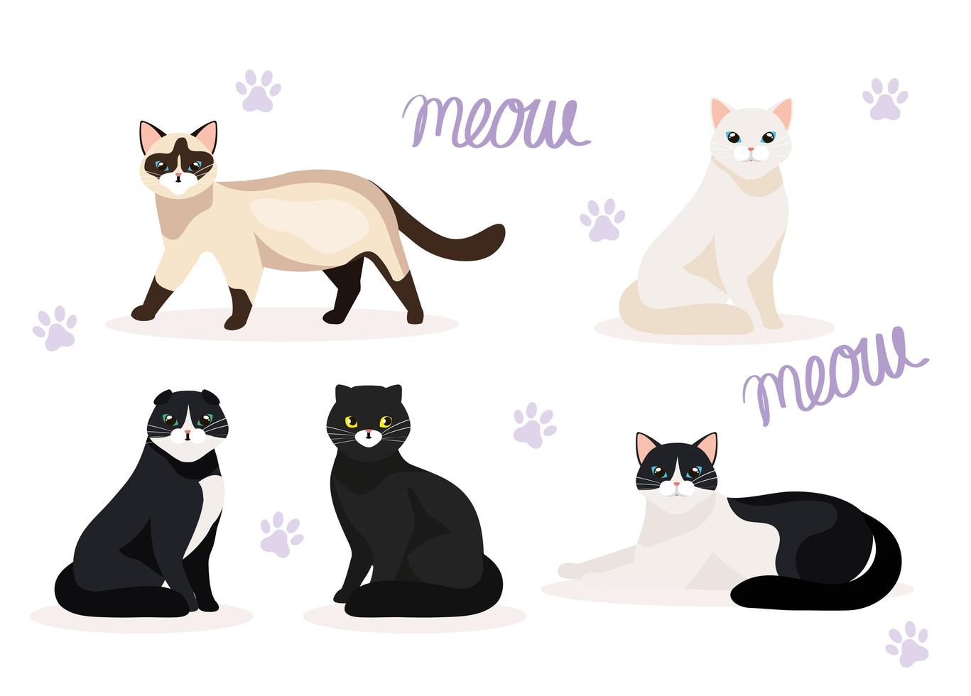 grupo de lindos gatos animales vector